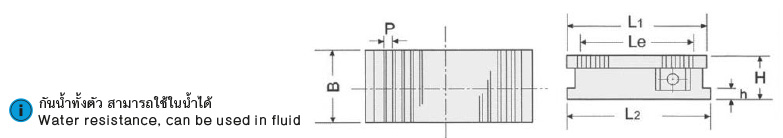 แม่เหล็กถาวร เส้นแรงมาตรฐาน drawing