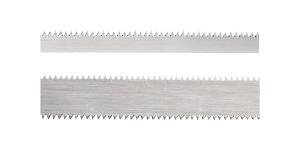 Diamond Toothed Bandknife
