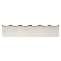 Wavy Toothed Bandknife