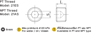 สกรูปลั๊กทองเหลือง drawing