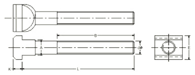 ทีโบลด์ drawing