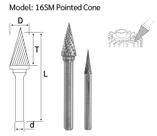 ดอกคาร์ไบด์ SM drawing